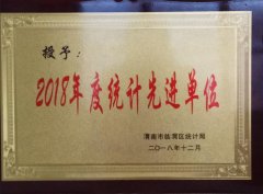 渭南市临渭区统计局授予2018年度统计先进单位
